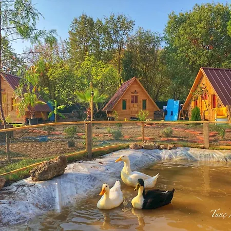 Hotel Pusula *