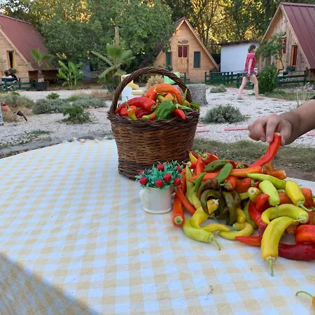 Pusula Кайакёй