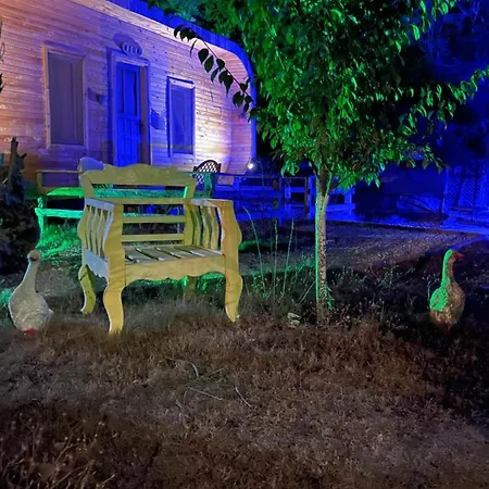 Pusula * 카야코이