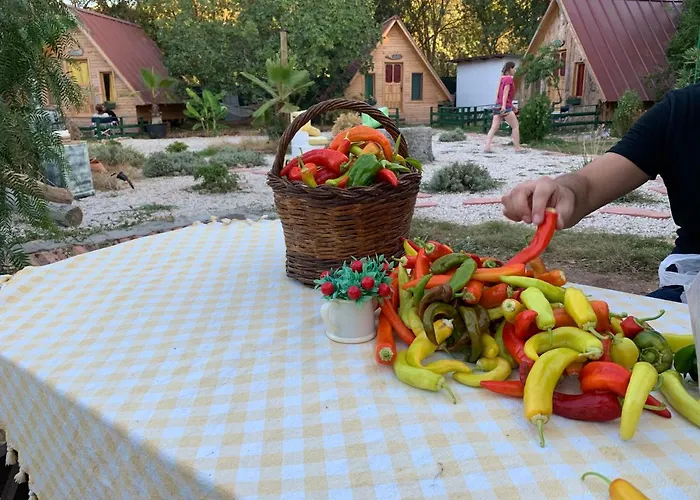 Pusula Кайакёй